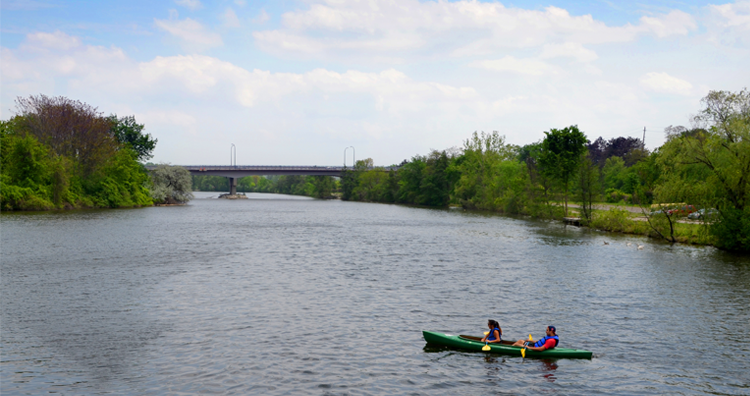 The Ultimate Guide to Kayaking in Ann Arbor